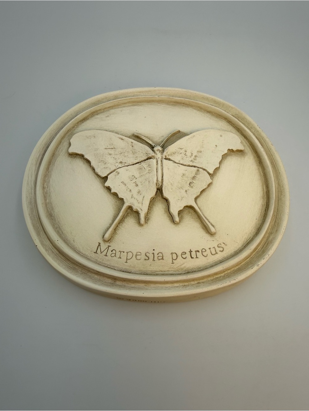 Vintage Resin House Parts Oval entomology insect plaque (butterfly)